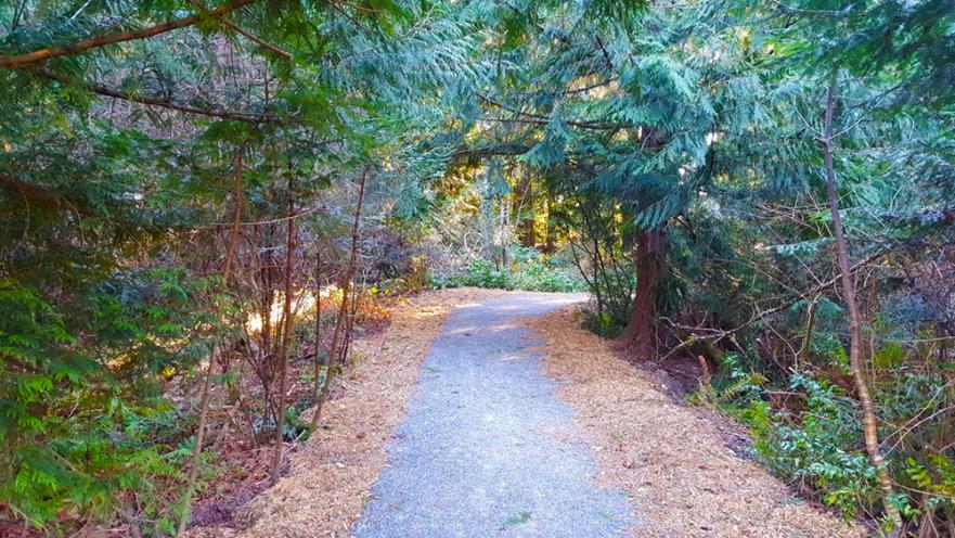 ocean view park trail